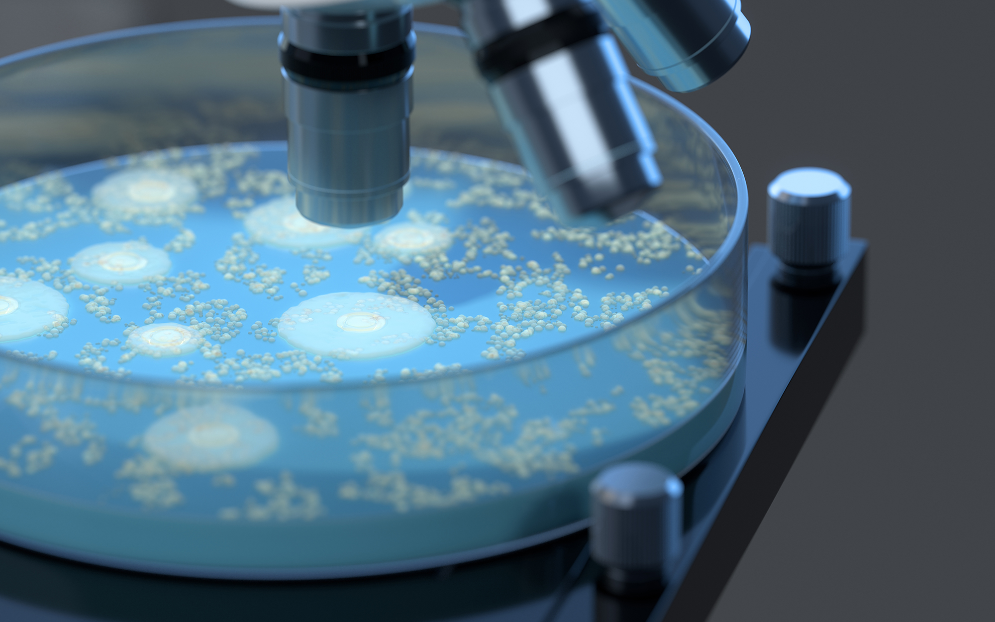 germs-petri-dish-3d-rendering